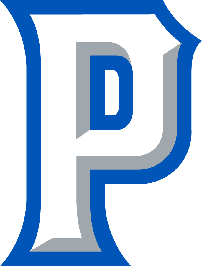 New Orleans Privateers 2013-Pres Secondary Logo v2 diy iron on heat transfer